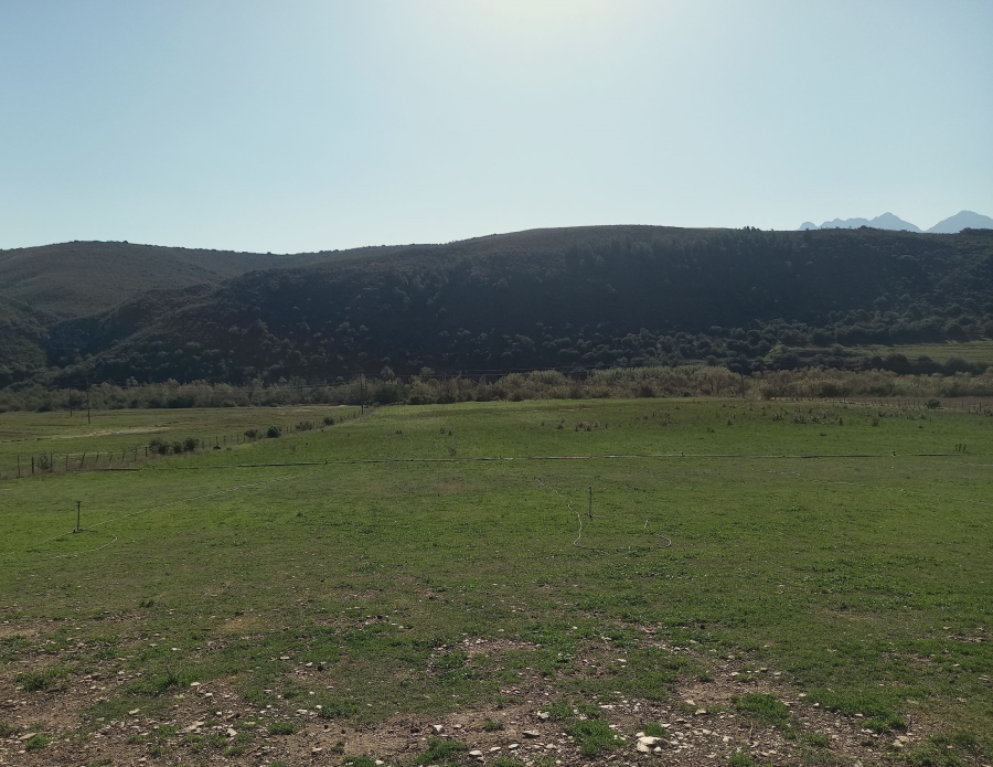 Commercial Property for Sale in George Rural Western Cape